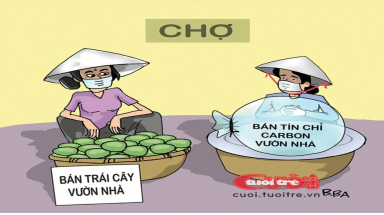  Nông dân hồ hởi với tín chỉ carbon