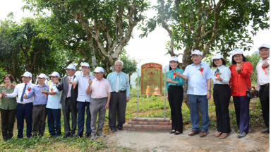  Công nhận quần thể 57 cây chè cổ Shan tuyết ở Mộc Châu là Cây Di sản Việt Nam