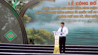  9 cây Giáng hương ấn tại Làng sinh thái Hương Trà - Quảng Nam là Cây Di sản Việt Nam