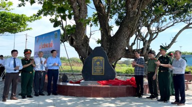  Những cây đầu tiên của tỉnh Quảng Trị được công nhận Cây Di sản Việt Nam