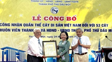  Các cấp chính quyền và đoàn thể, cộng đồng nhân dân chung tay trồng, chăm sóc và bảo vệ cây xanh