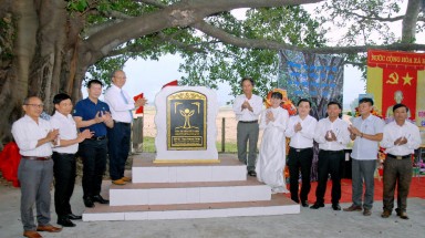 Quảng Nam:Cây Đa nơi trú ẩn của quân dân qua 2 cuộc kháng chiến được công nhận Cây Di sản Việt Nam
