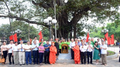 3 cây cổ thụ trên đất “Tam Hưng Anh Dũng” được công nhận Cây Di sản Việt Nam 
