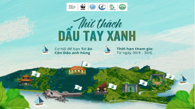  Cuộc thi trực tuyến thử thách "Dấu tay xanh"