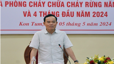  Bảo vệ rừng không nên ỷ lại