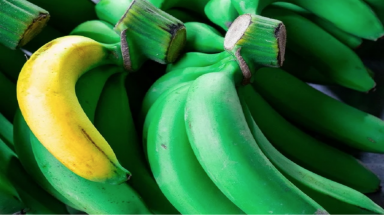  Tác dụng chống ung thư bất ngờ của chuối