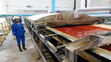 Công ty nào đề xuất khai thác bô xít quy mô lớn ở Bình Phước?
