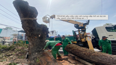  TPHCM yêu cầu các sở cung cấp hồ sơ dự án cây xanh cho Bộ Công an 