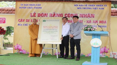  Thêm 3 cây tại An Giang được công nhận Cây di sản Việt Nam