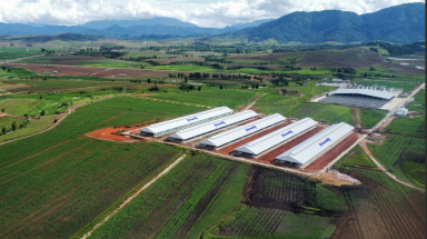  Vinamilk góp mặt trong danh sách lần đầu công bố của Fortune cho khu vực Đông Nam Á
