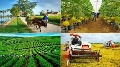  Nghiên cứu công nghệ phục vụ phát triển kinh tế xanh và ứng phó biến đổi khí hậu