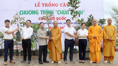  Phát động trồng cây xanh tại thành phố Phú Quốc
