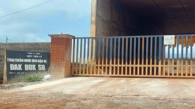  Phạt Công ty Trách nhiệm hữu hạn Đức Tiến Lê hơn 1,4 tỷ đồng do các lỗi vi phạm môi trường