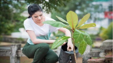 Thúc đẩy vai trò của thanh niên trong truyền thông môi trường