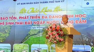 Cần bảo tồn và phát triển đất ngập nước Sông Đầm - hệ sinh thái quý hiếm của Quảng Nam