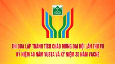  THI ĐUA CHÀO MỪNG ĐẠI HỘI VIII: Khẩn trương tổng kết đợt thi đua Chào mừng 35 năm thành lập và Đại hội VIII của VACNE
