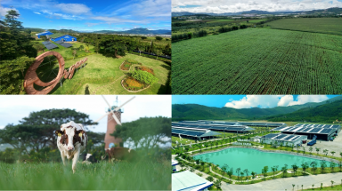  Những bước chân đầu tiên của Vinamilk trong lộ trình tiến đến Net Zero