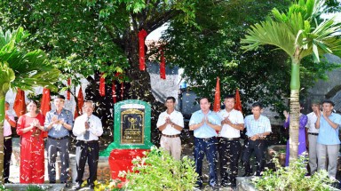  Công nhận cây di sản Việt Nam tại từ đường dòng họ Lê Tước