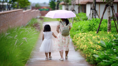  ”Ly hôn xanh” ào ạt, vì đâu?