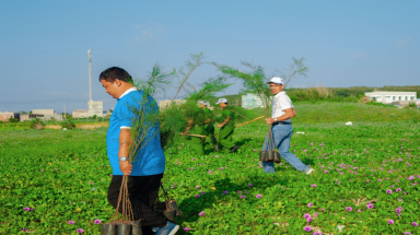 Hoạt động làm sạch biển huyện đảo Phú Quý
