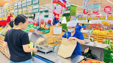 Tổ chức WWF đề xuất lộ trình giảm túi ni-lông trong siêu thị, trung tâm thương mại tại Đà Nẵng, Phú Yên
