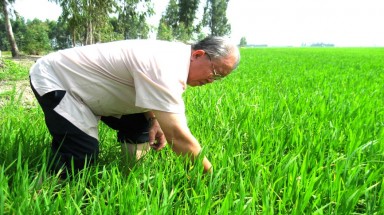 Vĩnh biệt nhà khoa học lớn của thương hiệu nông sản Việt