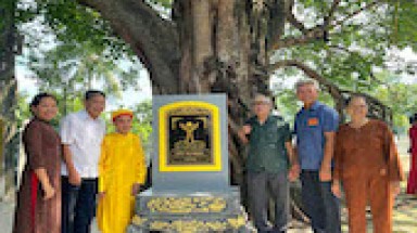  Hải Phòng: Cây Bồ đề hơn 200 năm tuổi được công nhận là Cây Di sản Việt Nam