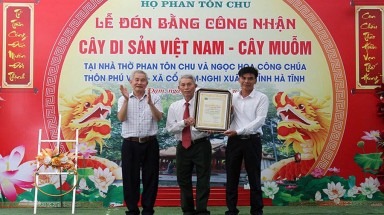  Cây đầu tiên của huyện Nghi Xuân được công nhận là Cây Di sản Việt Nam