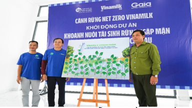  Đẩy mạnh dự án "Cánh rừng Net Zero", Vinamilk khoanh nuôi tái sinh 25 ha rừng ngập mặn Cà Mau