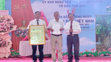 Cây Bồ đề hơn 300 năm tại An Dương -Hải Phòng được công nhận là Cây Di sản Việt Nam