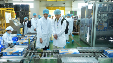  Các doanh nghiệp sữa tiếp cận bài toán xuất khẩu "Xanh"
