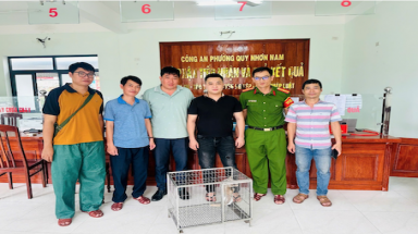 Hành đồng đẹp:Thanh niên đổi tiền cứu Tê Tê Java quý hiếm, góp phần bảo vệ đa dạng sinh học