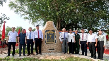  Quảng Ninh: Hai cây đầu tiên của huyện Hải Hà được công nhận Cây Di sản Việt Nam