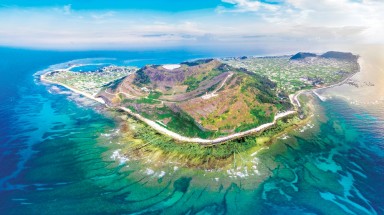  Quảng Ngãi: Đảo Lớn từng có cây ré mọc, đảo Mù Cu chỉ có cây mù cu