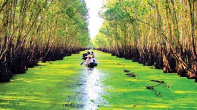  Dịch vụ hệ sinh thái: Giải pháp bảo tồn đa dạng sinh học