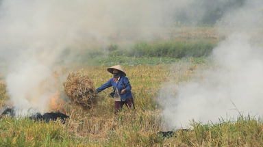  Giảm thiểu rủi ro trong hoạt động đốt rơm rạ và sử dụng hoá chất thuốc bảo vệ thực vật