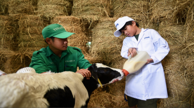  Học sinh thích thú khám phá trang trại, nhà máy "Xanh" sản xuất ra hộp sữa Vinamilk 