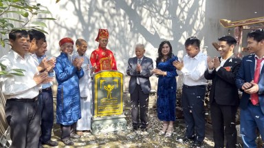  Cây đầu tiên của huyện Đan Phượng được công nhận Cây Di sản Việt Nam