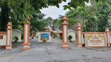  Thêm 27 cây cổ thụ lọt vào danh sách Cây Di sản Việt Nam