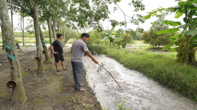  Tây Ninh: Xử phạt trang trại chăn nuôi lợn của ông Lê Trường Đức xả thải chưa qua xử lý, gây ô nhiễm môi trường