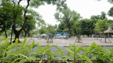  TP.HCM quá thiếu cây xanh, tỉ lệ cây xanh/người thua xa các thành phố khác